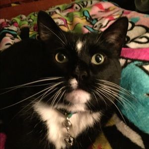 Meet your Posher, Amanda